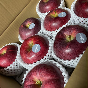 original🍎 約３kg6〜8玉 果物/りんご通販