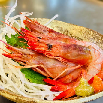 光放つ美しい縞模様「駿河湾産シマエビ」1kg | 魚介類/エビ 産直アウル