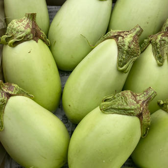 2kg【限定販売】美味しい翡翠茄子！やみつきナス！旨なす！煮ても焼い