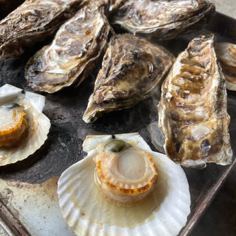 【アウルの日】５月限定！激安！10キロ！北海道噴火湾産　ベビーホタテ　稚貝 10キロ 魚介類/ホタテ通販