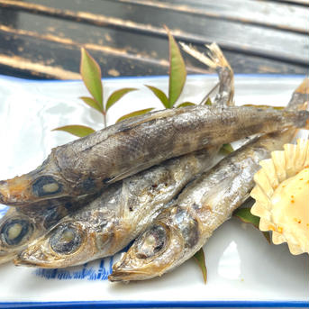 刺身・焼き物で食べたいメヒカリ大１P/800g メヒカリ大1P 魚介類/その他魚介通販