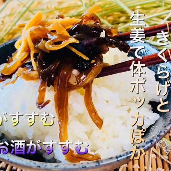 《年末年始の逸品》おうちご飯の大本命！「生姜をきかせたきくらげ佃煮」100g×3袋 300g(100g×3袋) 加工品/ごはんのお供通販