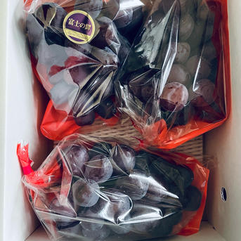 H様 専用 メルカリ暗黙のルール「即購入禁止」「〇〇様専用」って