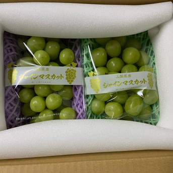 訳あり】シャインマスカット粒 2kg ｜ 果物/ぶどう 産直アウル 農家 