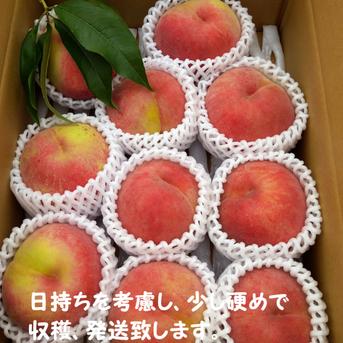 足○様専用 黄金桃 約3kg ×2 | 果物/もも 産直アウル 農家から