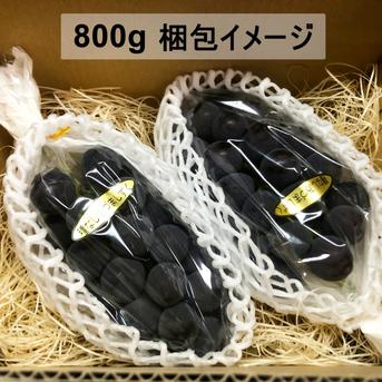 糖度抜群！種なしあづましずく 房(約1kg) 『クール便』 ｜ 果物/ぶどう