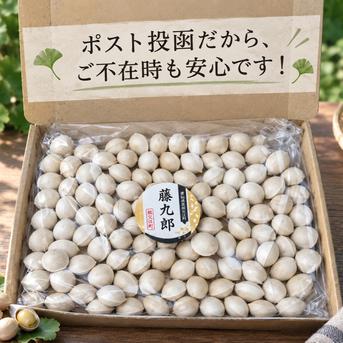 2026年＊新物》祖父江産 銀杏 【久寿】大玉3Lお試し350g ｜ 野菜