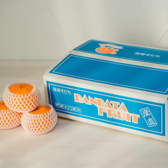 2月発送【特選】「甘平」贈答品×2箱 約8-12玉 | 果物/オレンジ・その他