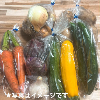 【限定】旬のたっぷり夏野菜セット（クール便） 80サイズ【夏野菜5~7品目】 野菜/野菜セット・詰め合わせ通販