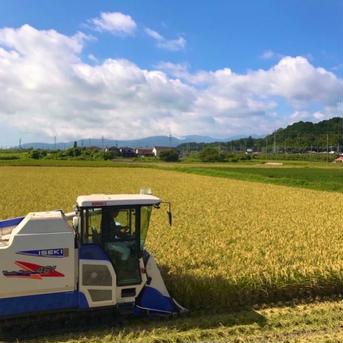 9月8日発送 値下げ29年度 滋賀のコシヒカリ玄米20kg　10kg✖2袋送込 9月6日発送 値下げ29年度 滋賀のコシヒカリ玄米20kg 10kg✖2