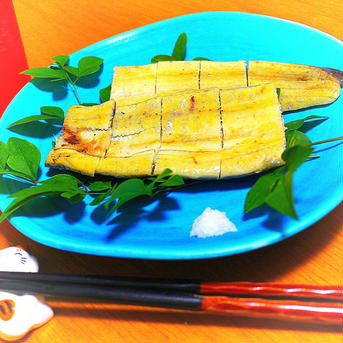 【土用丑の日用】高知県産うなぎの白焼き　有頭120～130ｇ×5尾　おまけ60～79ｇ×1尾　蒲焼きのタレ5袋　エコ包装 約0.9㎏ 魚介類/魚介の加工品通販