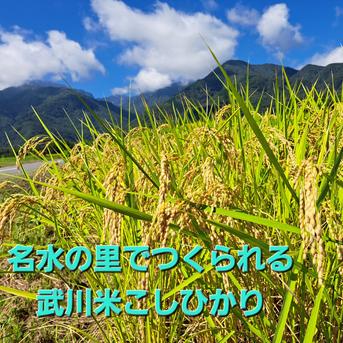 あゆちゃんちのお米 武川米こしひかり 5kg ｜ 米・穀物/米/精米 産直