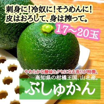 高知県産 ぶしゅかん 17-20玉 酢みかん ぶしゅかん17-20玉 果物/香酸柑橘(ライム・レモン等)通販