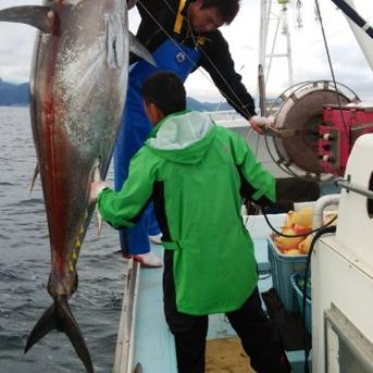 大間まぐろ切り落とし2パック 1パック200ｇ 魚介類/マグロ通販