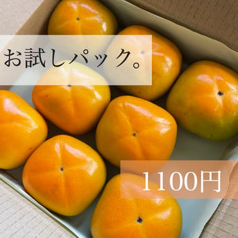ジュワッ！甘っ！ 平核無（ひらたねなし）柿🟠✨🍂 お試しパック 6〜9