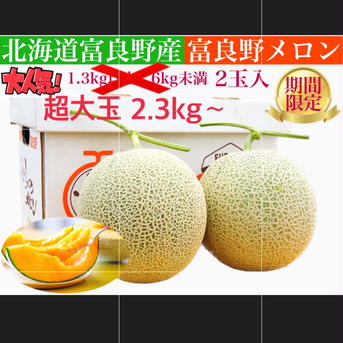着いてすぐ食べれるご自宅用超大玉富良野メロン2.3kg〜　2玉入 富良野メロン2.3kg以上　2玉 果物/メロン通販