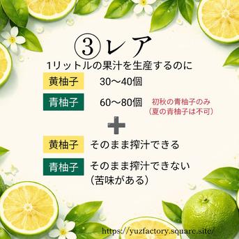 業務用 青柚子の果汁 ｜ 加工品/その他加工品 産直アウル 農家・漁師