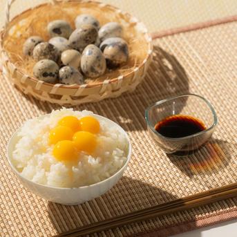 発酵育ちうずらの贅沢ギフトボックス（熨斗対応あり）〔うずら生卵
