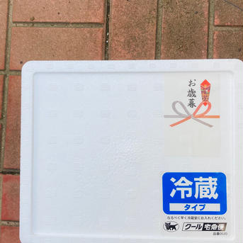 お歳暮　訳あり活伊勢海老　150〜200g×4匹 150〜200g×4匹 魚介類/エビ通販