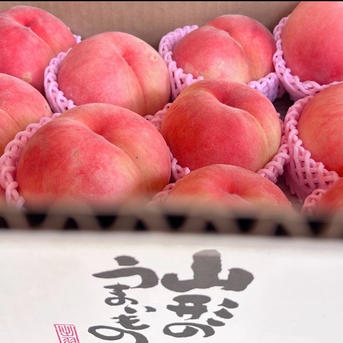 希少品種 山形県産白桃 陽夏妃【訳あり3キロ】 ｜ 果物/もも 産直