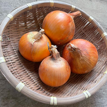 きおう 10kg 36玉 秀 中玉 箱詰め 産地直送 富良野産10kg玉ねぎ】玉ねぎ10kg箱サイズ混合 ｜ 野菜/玉ねぎ 産直