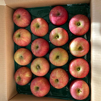 2箱分すぐ発送！10キロ樹上完熟葉取らずサンふじ訳あり10キロ32-46 蜜