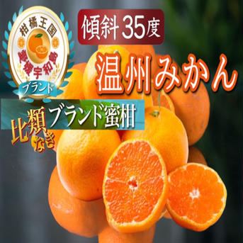 🍊日テレ紹介でリピーター続出🍊傾斜35度の崖上で実る幻の宇和島ブランド温州みかん12月中旬発送【お得な大容量約3kg】🍊冬ギフト🍊 温州みかん大容量約3kg 果物/温州みかん通販