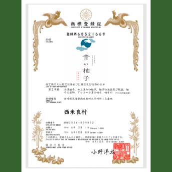 宮崎県 西米良の青ゆず キズ少なめ 約2kg | 果物/香酸柑橘
