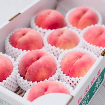 9月の硬い桃[さくら白桃] | 果物/もも 産直アウル 農家から直接野菜