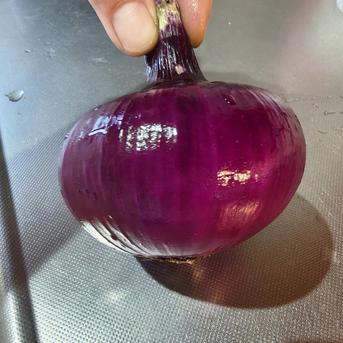 農園自慢の赤玉ねぎ 4.5kg パチャママ農園 たまねぎ ｜ 野菜/玉ねぎ