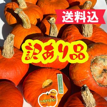 訳あり【へそかぼちゃ】1.5㎏ ｜ 野菜/かぼちゃ 産直アウル 農家・漁師