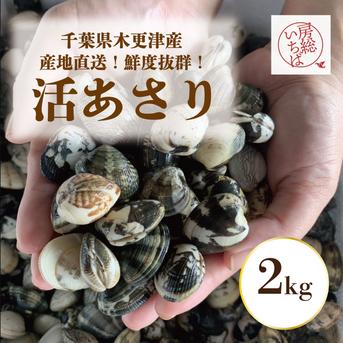 あさり 活！木更津産！砂抜き済みアサリ！2㎏！鮮度抜群！産地直送！】産直