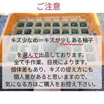 宮崎県 西米良の青ゆず キズ少なめ 約2kg | 果物/香酸柑橘