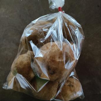 【新じゃが】皮までおいしいキタアカリ！ じゃがいも5kg 野菜/じゃがいも通販