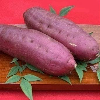 熟成干し芋　平干し 200g×4 野菜/野菜の加工品通販