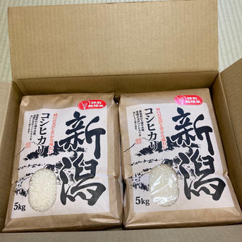 新米　甘くて美味しい！ 新潟県産コシヒカリ　減農薬の特別栽培米🌾玄米20kg 玄米20kg 米・穀物/玄米通販