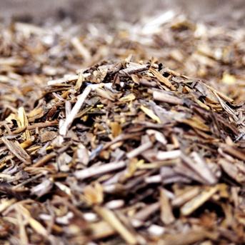 オーガニック茶葉使用の農薬不使用ほうじ茶ティーバッグ４袋　（2.5ｇ10包入×4袋） ★送料当社負担 （2.5ｇ×10包入)×4袋 お茶/緑茶通販