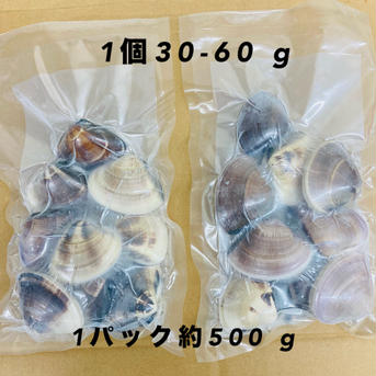 液体冷凍はまぐり　1個30-60 g（中小）　   約500g×4パック 液体冷凍はまぐり　1個30-60 g（中小）　   約500g×4パック 魚介類/蛤通販