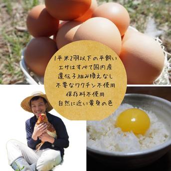 【パック入り｜送料無料！60個】とれたて純国産平飼い自然卵（有精卵）全て国産・添加物／保存料不使用｜大自然の恵みをそのまま提供 60個 卵/鶏卵通販