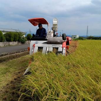 特別栽培米新潟県産コシヒカリ15k ｜ 米・穀物/米/精米 産直アウル