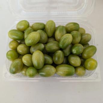 サリーナエメラルド　カラーミニトマト  700g 1kg  野菜/トマト通販