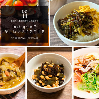 【仁淀川きくらげの魅力を伝える大袋】高知県産仁淀川きくらげ(スライスタイプ100g×3P) ※戻し方、参考料理の冊子付き Niyodogawa Kikurage 300g(100g×3P) 野菜/きのこ通販