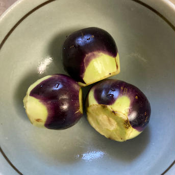 お盆にはこれ！伝統野菜　薄皮丸茄子　漬物用　1.0kg 500g✖️3袋　鷹の爪　漬け粉　おまけ　パンフ 野菜/茄子通販