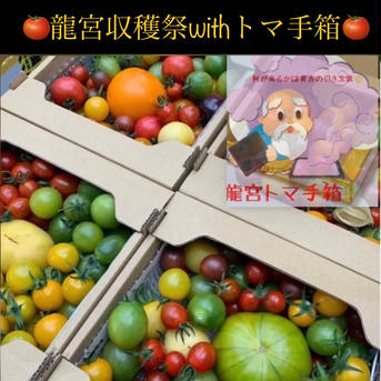龍宮収穫祭withトマ手箱 1キロ （大福は2キロ以上） 野菜/トマト通販