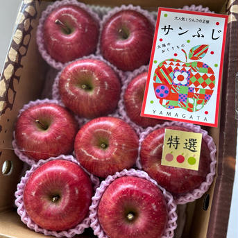 【農林水産大臣賞✨受賞園地】山形県産サンふじりんご3キロ【のし対応致します！】 3キロ 果物/りんご通販