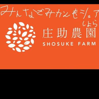 有田・庄助みかん約1.3kgご家庭(2S～Lサイズ混合)×2箱 約1.3kgご家庭(2S～Lサイズ混合)×2箱 果物/温州みかん通販