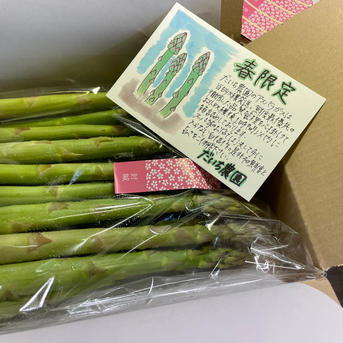 朝どれ　2L-3Lアスパラガス　1キロ 1キロ 野菜/アスパラガス通販