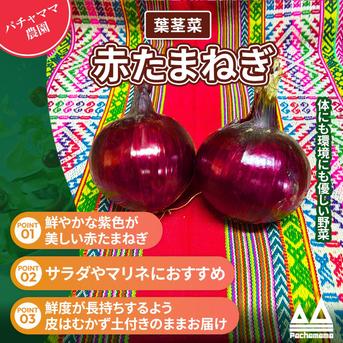 農園自慢の赤玉ねぎ 4.5kg パチャママ農園 たまねぎ ｜ 野菜/玉ねぎ
