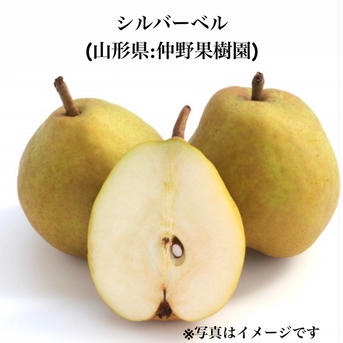 【合計8品種食べ比べ】5周年限定フルーツセット (200セット限定) サンふじ1個、シナノゴールド1個、ラフランス1個、シルバーベル1個、紅まどんな2個、早生みかん6個、グリーンキウイ1個、ティアドロップ1個 果物/果物セット・詰め合わせ通販