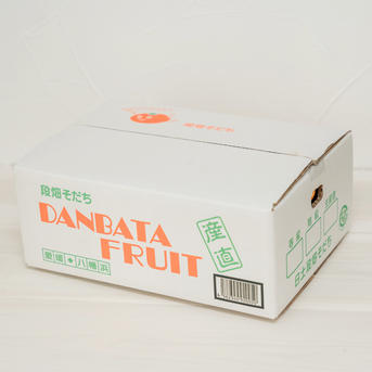 栽培用クレソン　10キロ目安　 湧き水育ち　みかん箱2箱分パンパン お得な訳あり品》2Lサイズ 段畑みかん 内容量8キロ | 果物/温州みかん